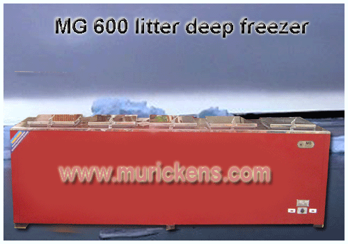 MG 600 Liter deep freezer