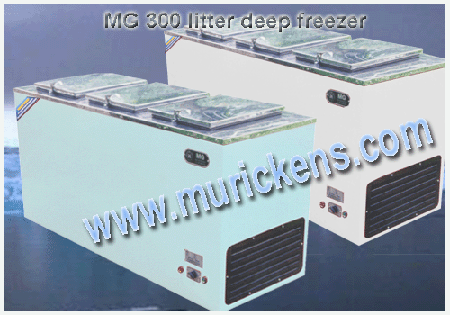 MG 300 Liter deep freezer
